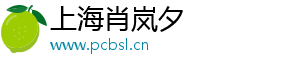 上海肖岚夕