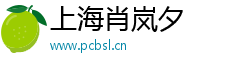上海肖岚夕